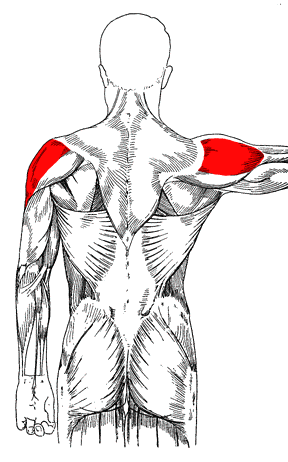 Steroid injection shoulder